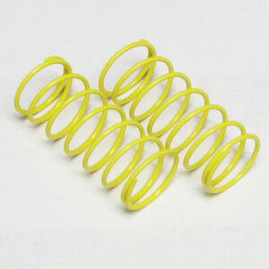 Custom Works BIG BORE SPRINGS (PAIRS)