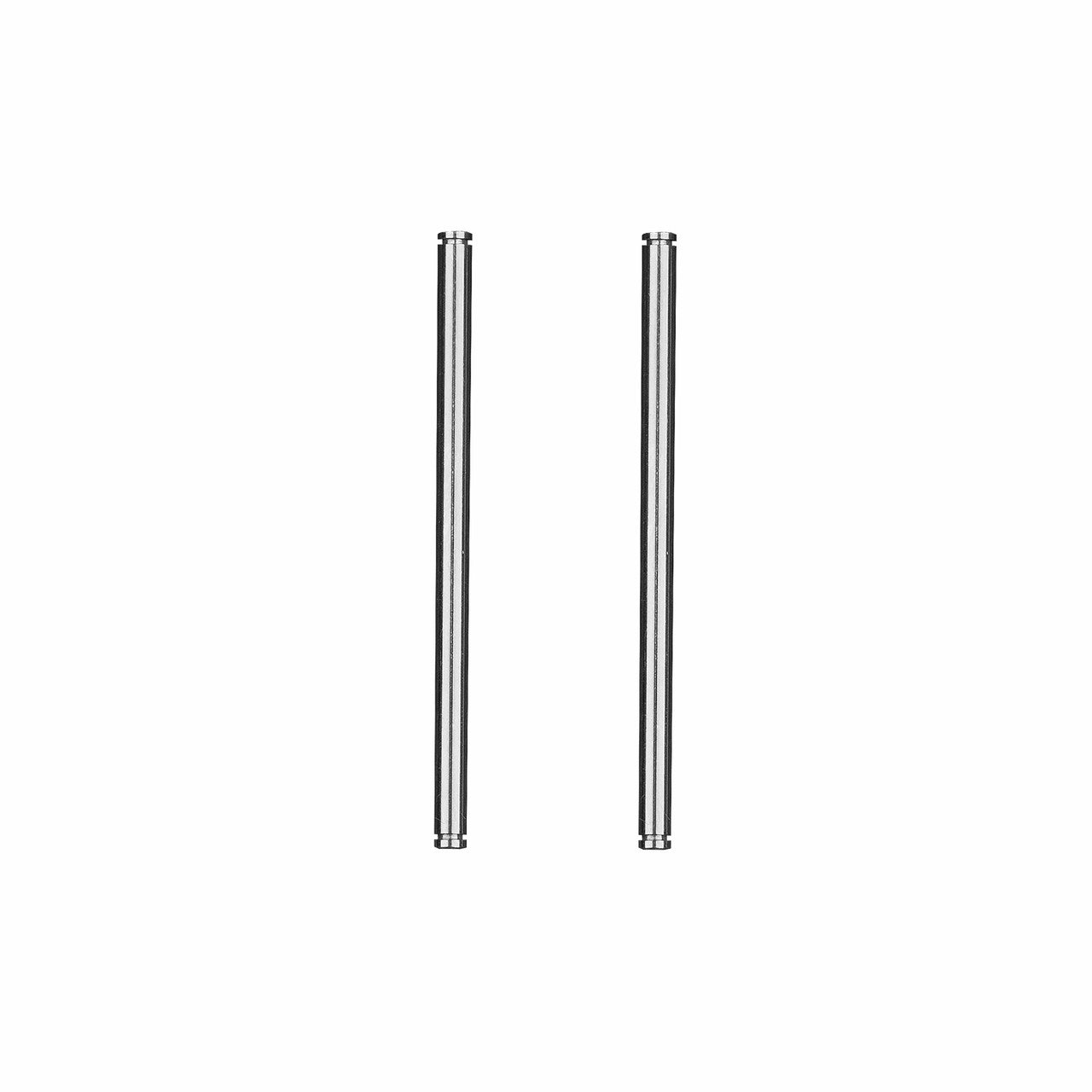 Team Associated RC10 ''91 Stealth Car Rear Inner Hinge Pins
