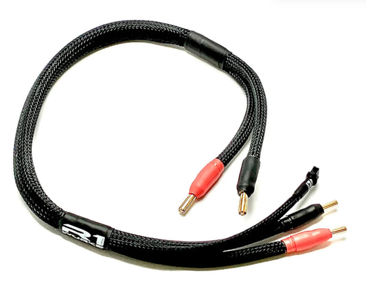 R1 Wurks Charging Cable (1S)