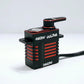 NSDRC LIMITED EDITION RS100 SERVO & HORN